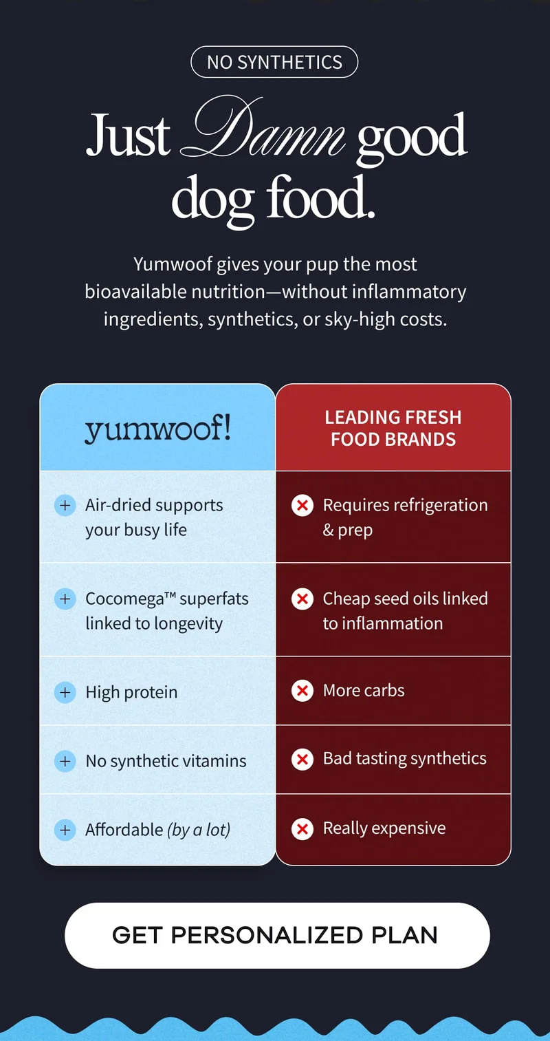 No synthetics | Just  Damn good dog food. | yumwoof gives your pup the most bioavailable nutrition—without inflammatory ingredients, synthetics, or sky-high costs. | GET PERSONALIZED PLAN