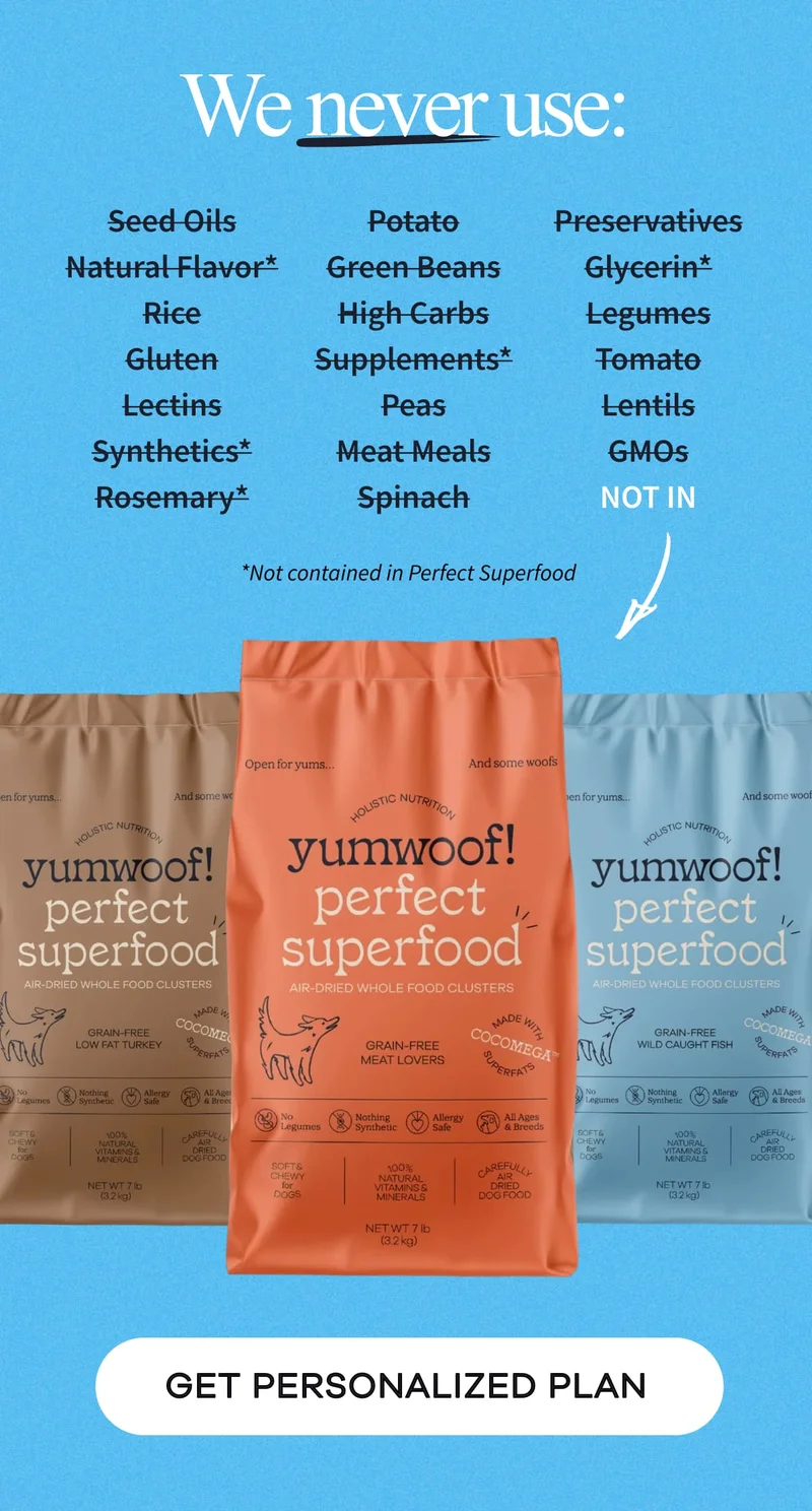 We never use: Seed Oils | Natural Flavor | Rice | Gluten | Lectins | Synthetics* | Rosemary* | Potato | Green Beans | High Carbs | Supplements | Peas | Meat Meals | Spinach | Preservatives | Glycerin | Legumes | Tomato | Lentils | GMOs | GET PERSONALIZED PLAN | *Not contained in Perfect Superfood