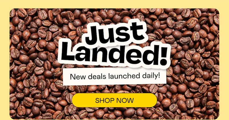 Just Landed! | SHOP NOW