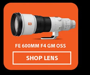 FE 600mm F4 GM OSS | Shop Lens
