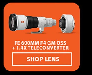 FE 600mm F4 GM OSS + 1.4X Teleconverter | Shop Lens