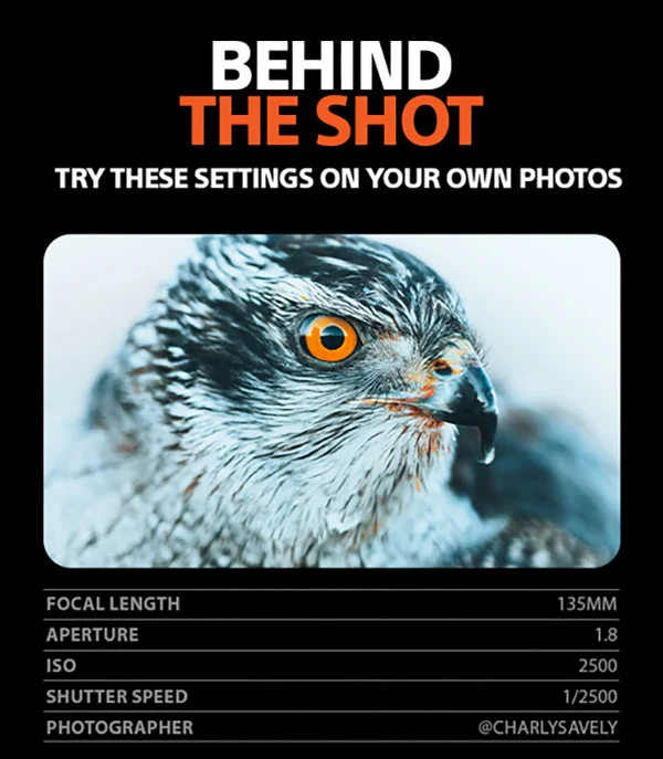 Behind The Shot | Try these settings on your own photos | Focal Length 135mm, Aperture 1.8, ISO 2500, Shutter Speed 1/2500, @CharlysAvely