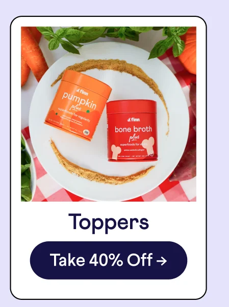Toppers: Shop Now –>