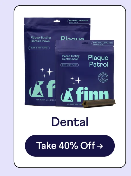 Dental: Shop Now –>
