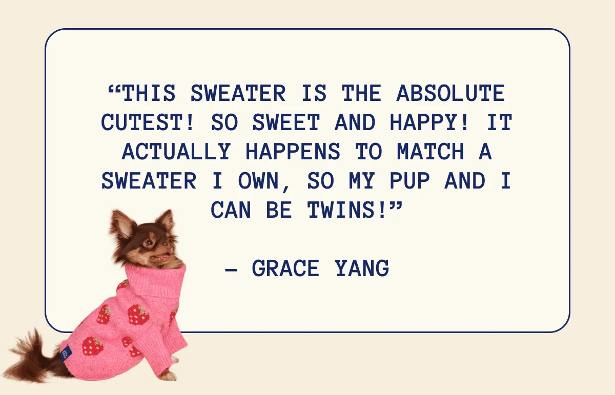 Why customers love Little Beast