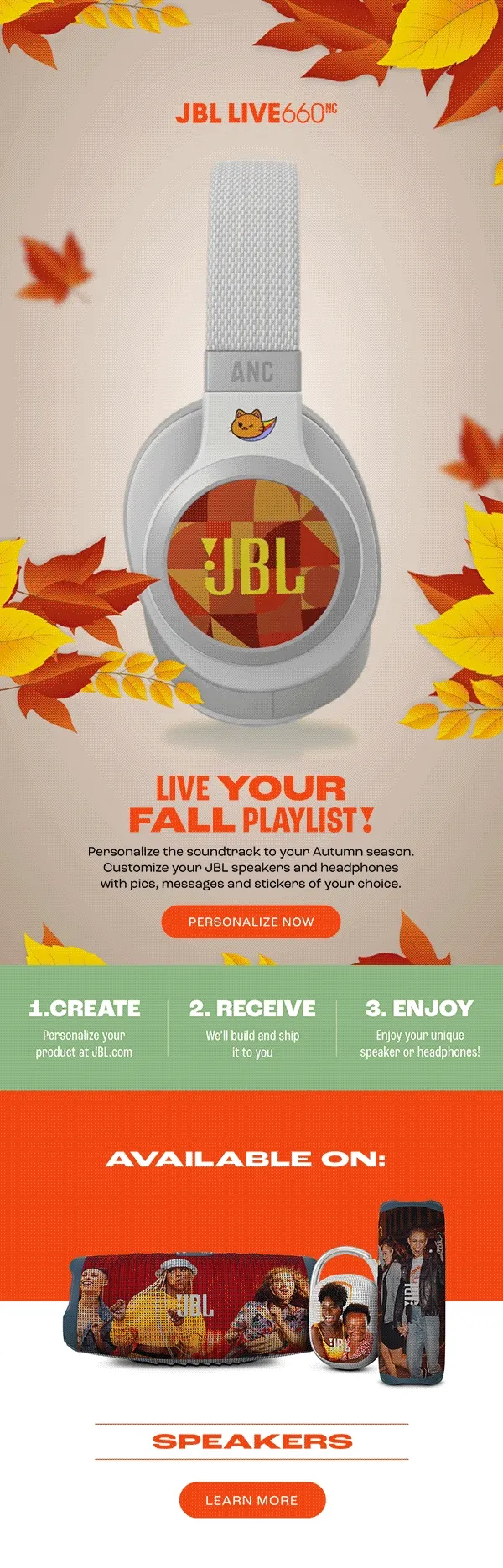 JBL Live 660NC Fall PZ