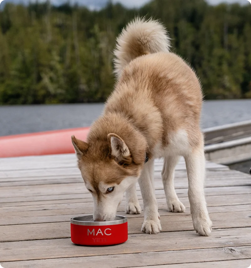 Final Call For Free Customization