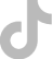 TikTok Logo