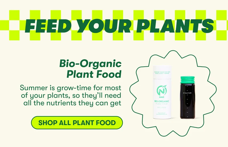 FEED YOUR PLANTS Bio-Organic Plant Food COPY: Summer is grow-time for most of your plants, so they’ll need all the nutrients they can get [SHOP ALL PLANT FOOD]