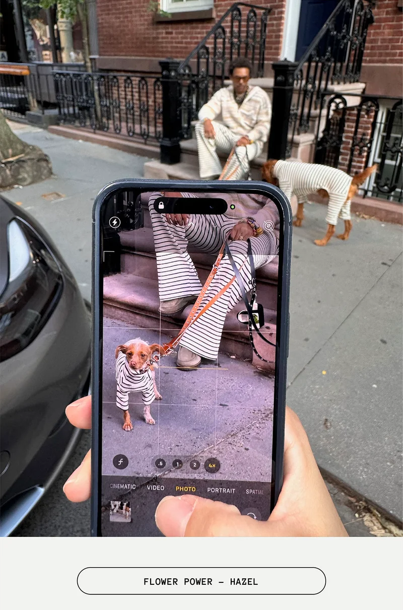 Flower power - hazel