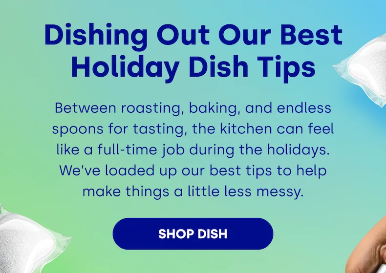 Dishing Out Our Best Holiday Dish Tips | Between roasting, baking, and endless spoons for tasting, the kitchen can feel like a full-time job during the holidays. We’ve loaded up our best tips to help make things a little less messy. SHOP DISH