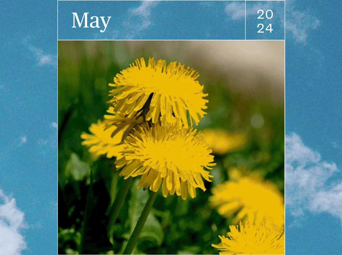 May
