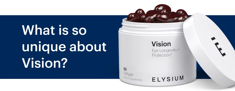 What is so unique about Vision?