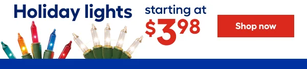 Holiday lights starting at $3.98