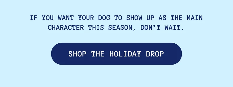 If you want your dog to show up as the main character this season, don’t wait.
