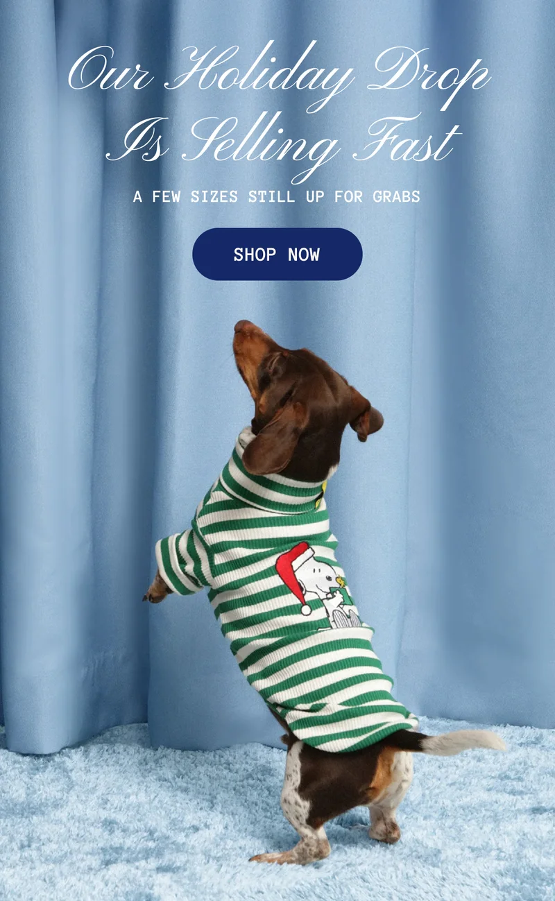 Our Holiday Drop Is Selling Fast