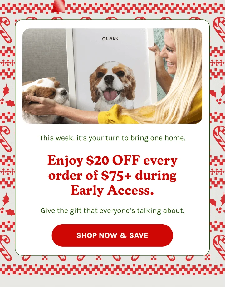 Shop Now & Save