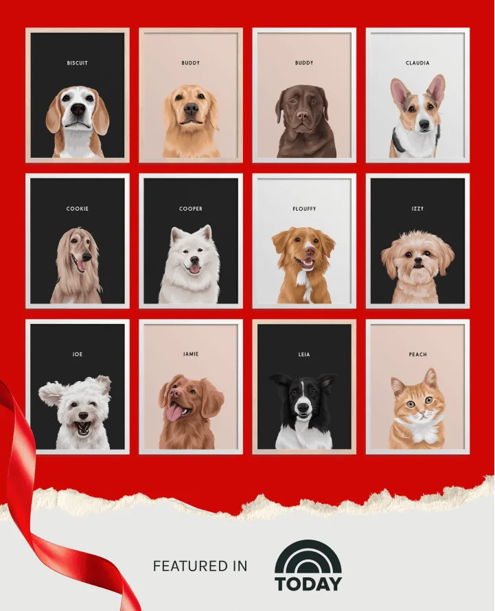 Pet Portraits
