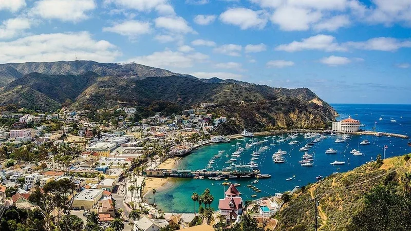 Image description: Aerial view of Santa Catalina Island in California