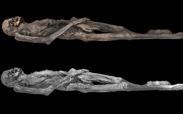 3D model of the tattooed ice mummy who belonged to the nomadic group known as the Pazyryk.