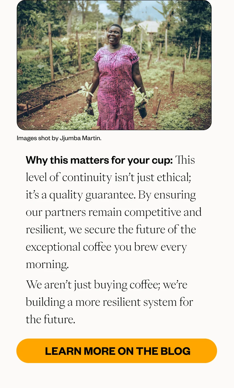 Why this matters for your cup: This level of continuity isn't just ethical; it's a quality guarantee. By ensuring our partners remain competitive and resilient, we secure the future of the exceptional coffee you brew every morning. We aren't just buying coffee; we're building a more resilient system for the future. CTA: Learn More Why this matters for your cup: This level of continuity isn't just ethical; it's a quality guarantee. By ensuring our partners remain competitive and resilient, we secure the future of the exceptional coffee you brew every morning. We aren't just buying coffee; we're building a more resilient system for the future. CTA: Learn More