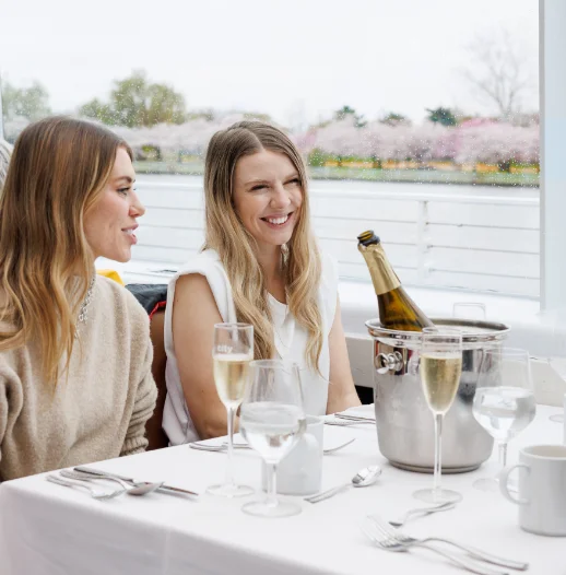 Cruise into Spring with DC’s Cherry Blossoms*