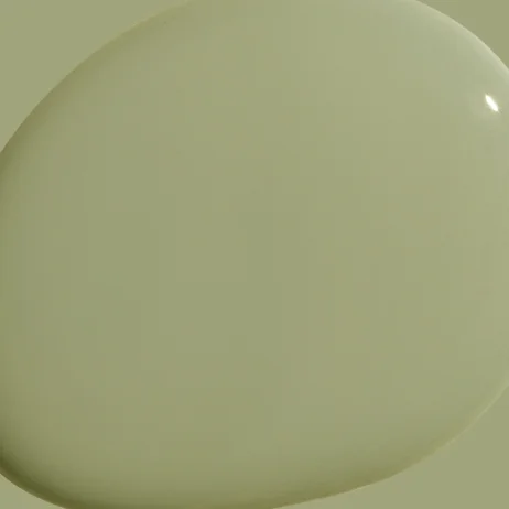 Extra Virgin paint color