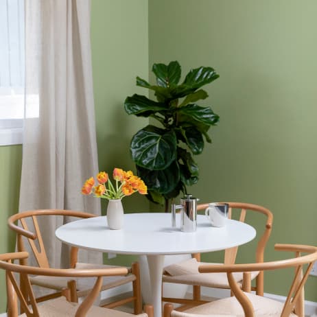 Interior vignette featuring paint color Extra Virgin