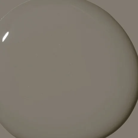 Dirty Chai paint color