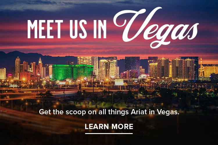 MEET US IN VEGAS | LEARN MORE