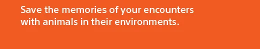 Save the memories of your encounters with animals in their environments.