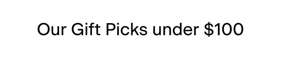 Our Gift Picks under $100