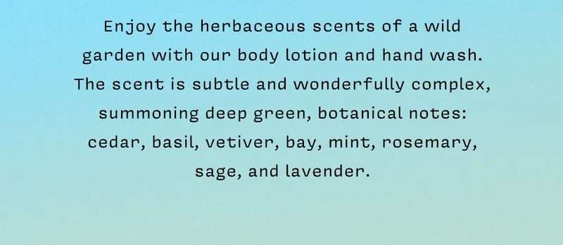 Enjoy the herbaceous scents of a wild garden with our body lotion and hand wash. The scent is subtle and wonderfully complex, summoning deep green, botanical notes: cedar, basil, vetiver, bay, mint, rosemary, sage, and lavender.