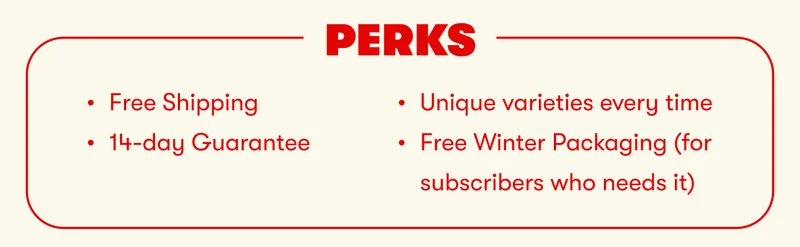 Perks - Free Shipping, 14-Day Guarantee, Unique Varieties Every Time, Free Winter Packaging (for those who need)