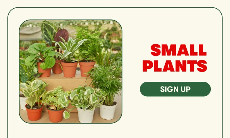 Small Plants - Sign Up