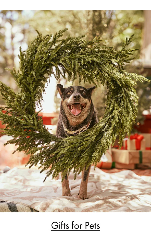 Gifts for Pets