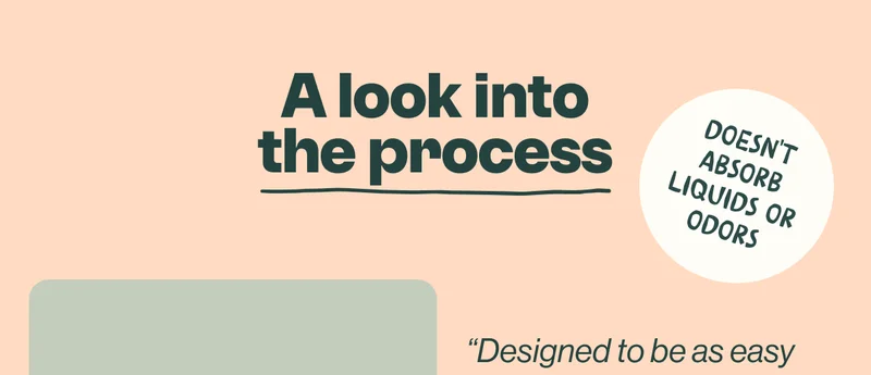 A look into the process