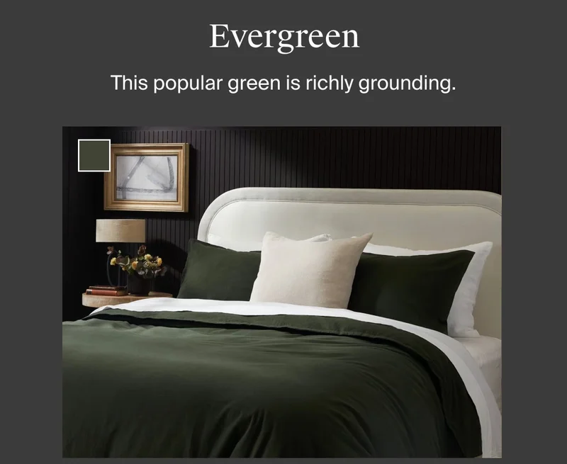 Shop Evergreen