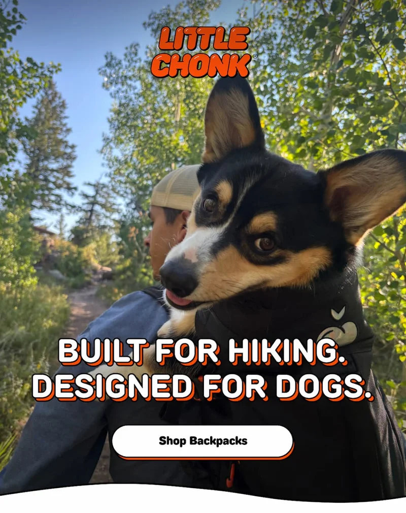 CHONKMAS IS BACK THIS JULY.