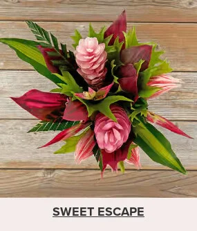 Flowers At a Great Price