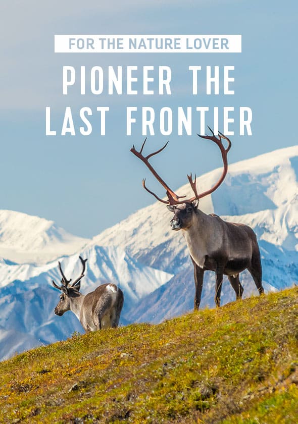 PIONEER THE LAST FRONTIER