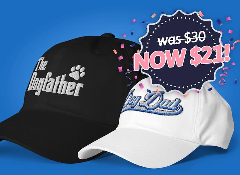 Classic Dog Dad Cap. was $30 NOW $21