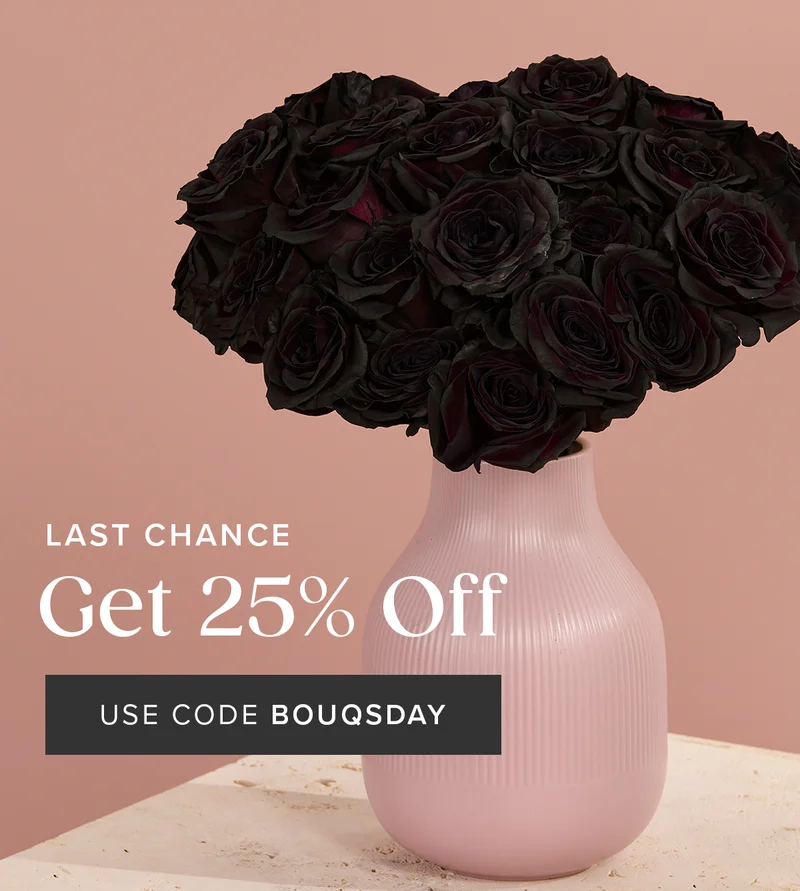 Last Chance to Get 25% Off! Use code BOUQSDAY
