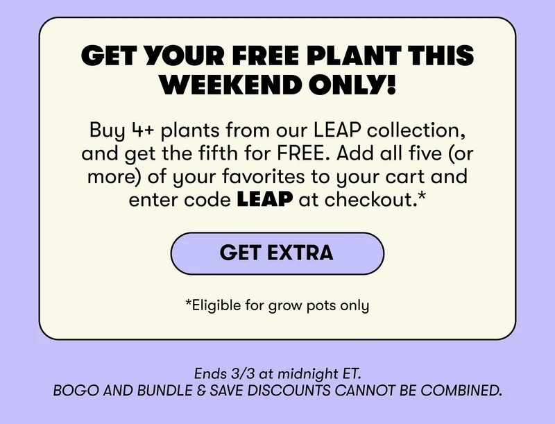 Get your FREE plant this weekend only! Buy 4+ plants from our LEAP collection, and get the fifth for FREE. Add all five (or more) of your favorites to your cart and enter code LEAP at checkout.&nbsp; Get Extra. *Eligible for grow pots only