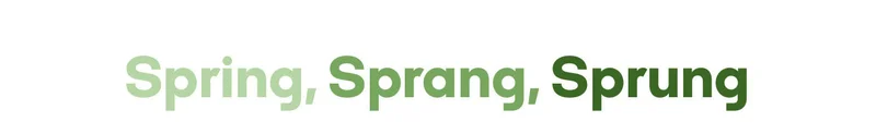 Spring, Sprang, Sprung