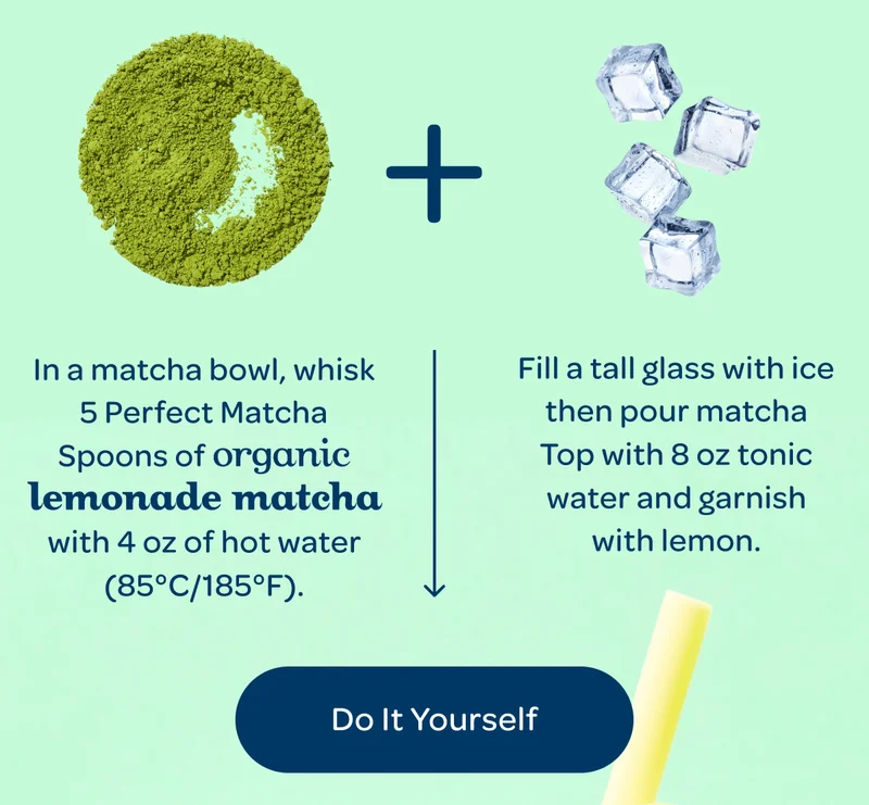 Whisk 5 Perfect Matcha Spoons of organic lemonade matcha with 4 oz of hot water