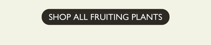 Shop All Fruiting Plants