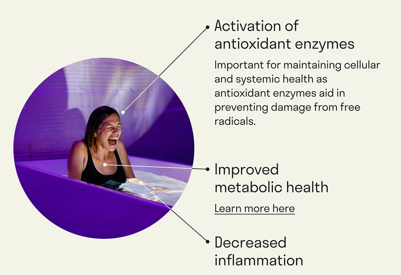 Important for maintaining cellular and systemic health thanks to antioxidant enzymes helping prevent damage from free radicals. Prevents tissue damage and promotes healthy cells.
