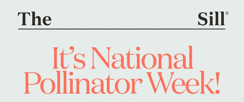 It's National Pollinator Week!