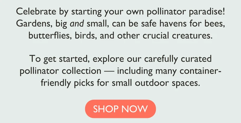 Celebrate by starting your own pollinator paradise! Explore our carefully curated pollinator collection. Shop now.